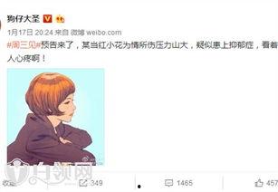 小花最新爆料视频大全,揭秘娱乐圈幕后真相