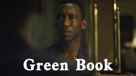 美国AV黑人种子