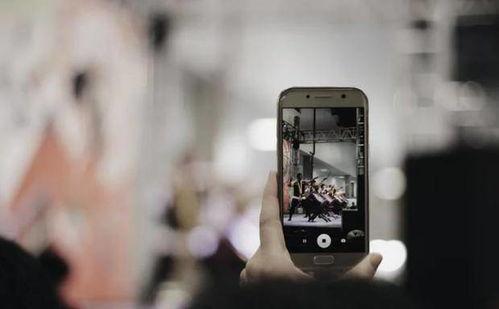 法国亲密手机在线播放,探索激情与浪漫的视听盛宴