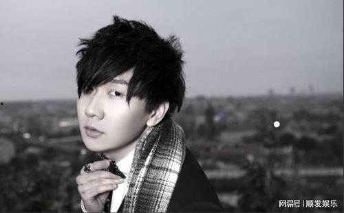 娱乐圈吃瓜事儿林俊杰是谁,娱乐圈吃瓜事儿中的音乐才子